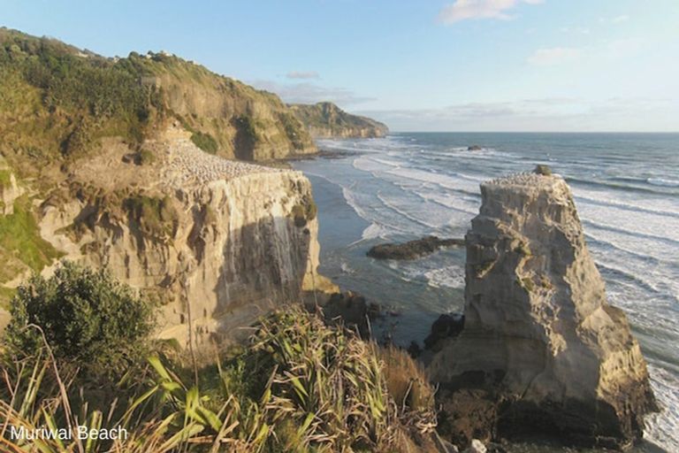 Photo of property in 38 Vintry Drive, Huapai, 0810