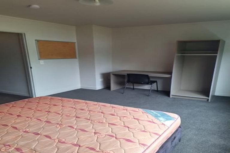 Photo of property in Willowbank Quarter, 20/8 Willowbank, North Dunedin, Dunedin, 9016
