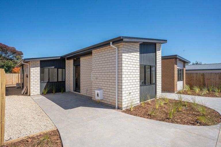 Photo of property in 22u2 Dalgliesh Avenue, Forest Lake, Hamilton, 3200