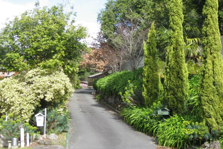 Photo of property in 58 Mchardy Street, Havelock North, 4130