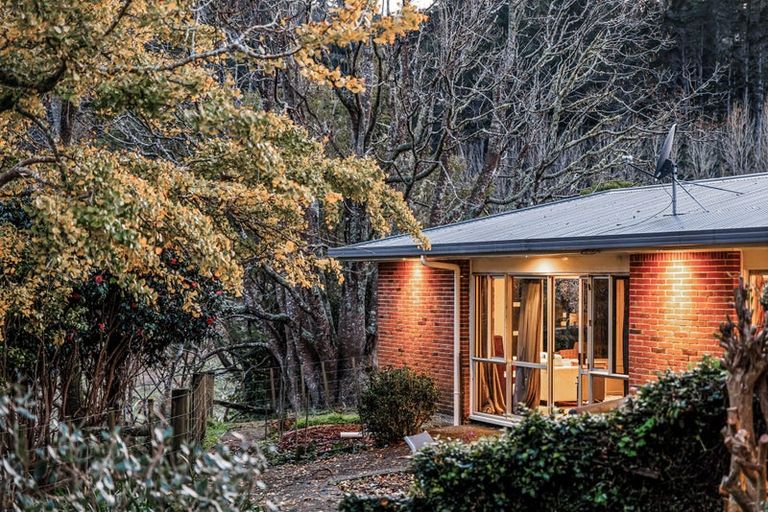 Photo of property in 447 Wright Road, Matakana, Warkworth, 0985