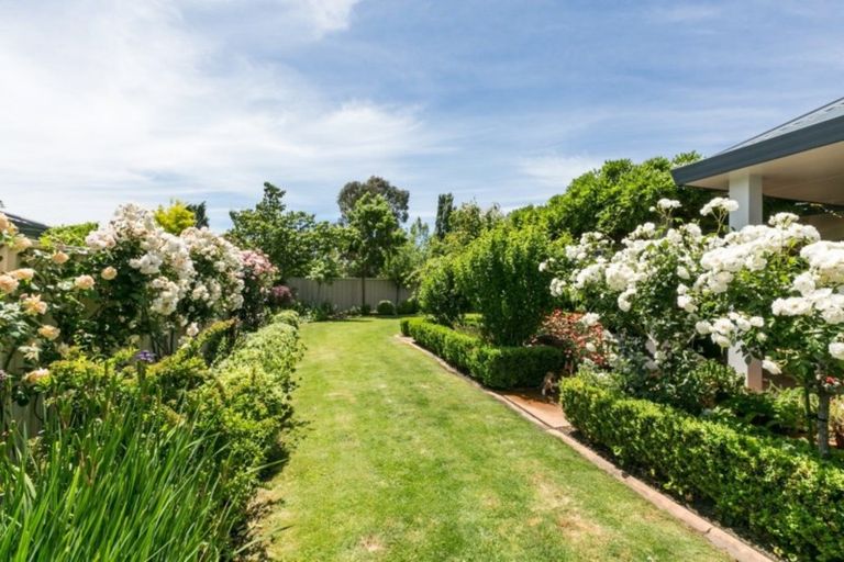Photo of property in 46 Palmbrook Avenue, Havelock North, 4130