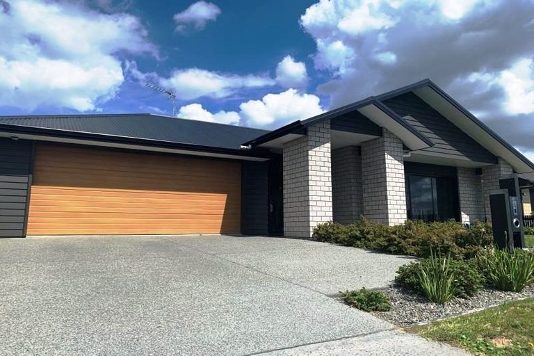 Photo of property in 41 Lulu Avenue, Chartwell, Hamilton, 3210