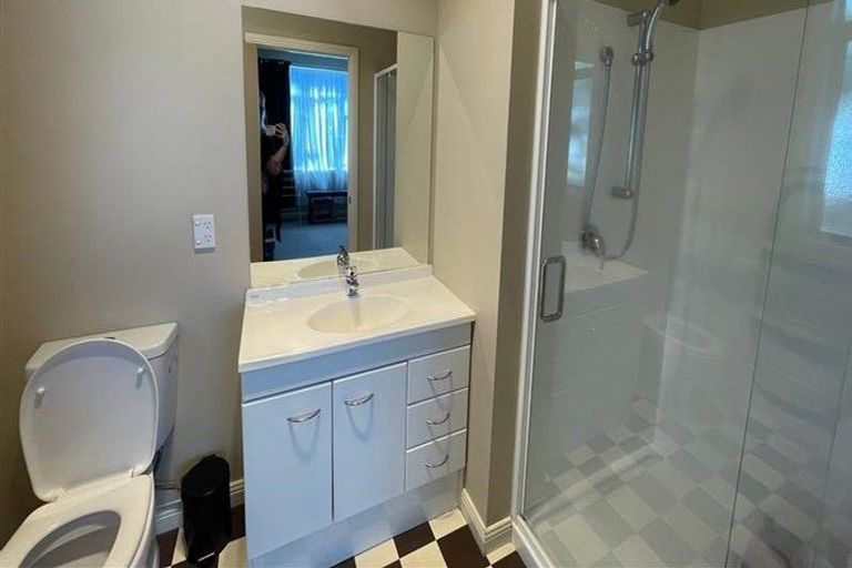 Photo of property in 163 Galloway Street, Hamilton East, Hamilton, 3216