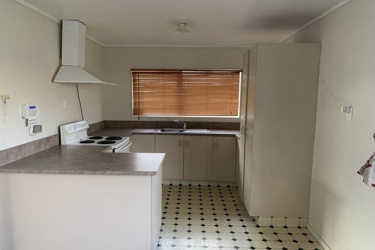 Photo of property in 195 Dey Street, Hamilton East, Hamilton, 3216