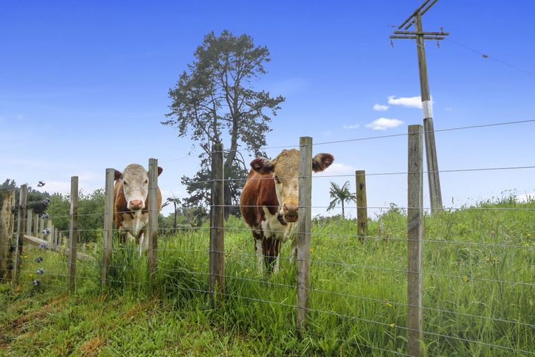 Photo of property in 7 Boddie Road, Te Kuiti, 3981