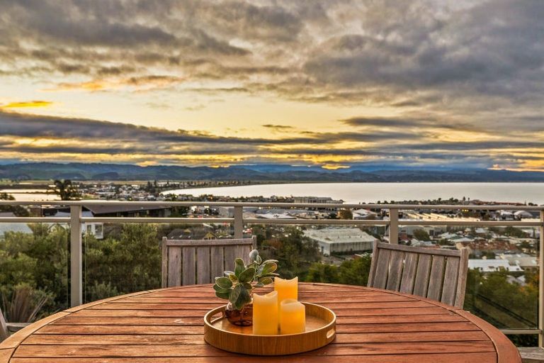 Photo of property in 21 Denholm Road, Hospital Hill, Napier, 4110