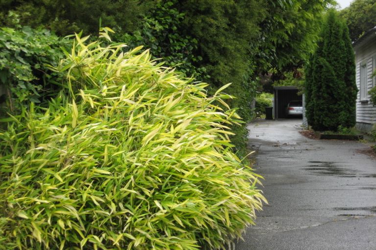 Photo of property in 3a Lytton Street, Feilding, 4702