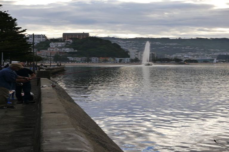Photo of property in The Capital, 26/370 Oriental Parade, Oriental Bay, Wellington, 6011