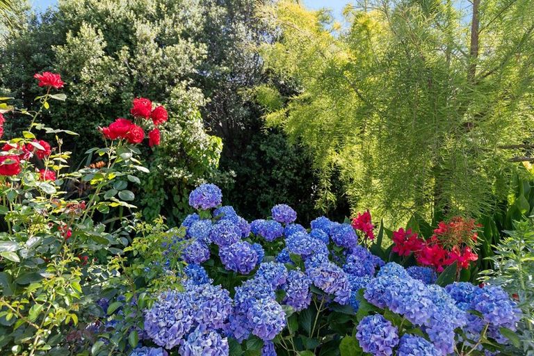 Photo of property in 25 Mcpherson Drive, Morrinsville, 3300