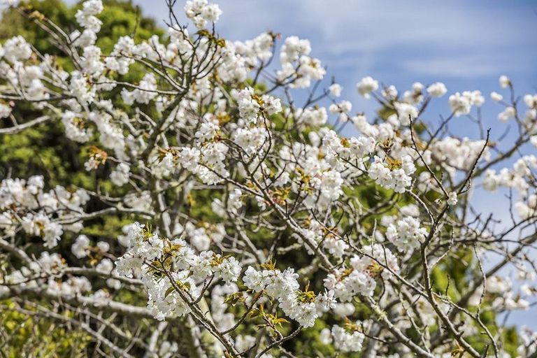 Photo of property in 61a Kahu Road, Paremata, Porirua, 5024