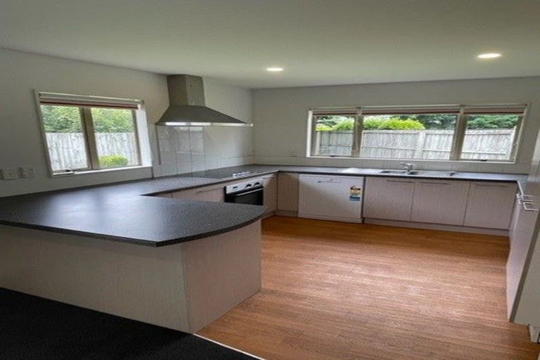 Photo of property in 9 Ashtead Lane, Sockburn, Christchurch, 8042