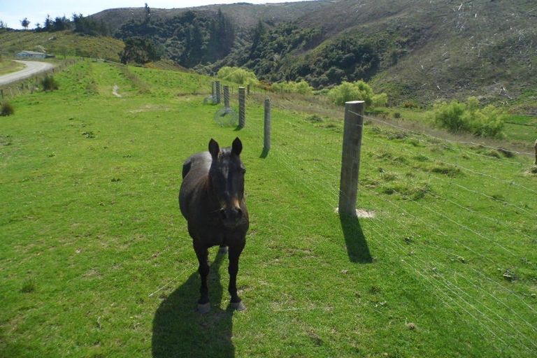 Photo of property in 350 Kowhatu Road, Waihaorunga, Waimate, 7977