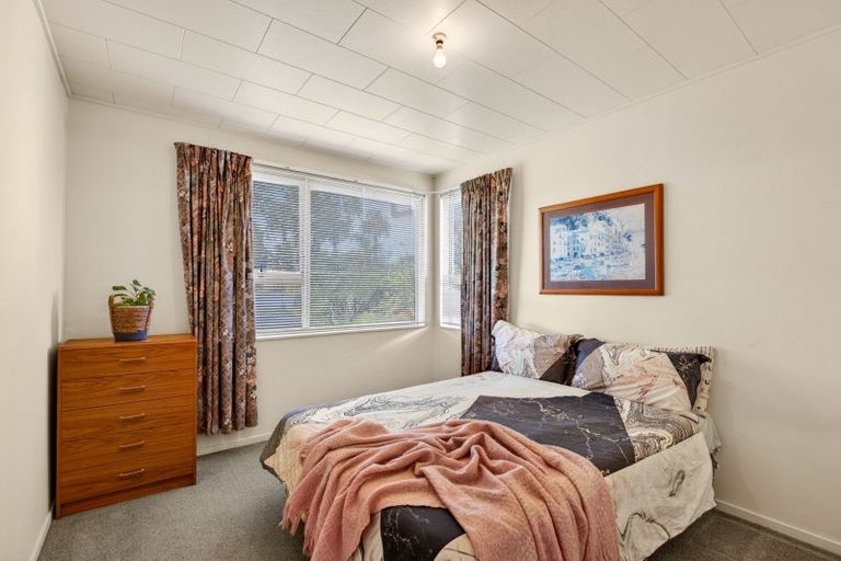 Photo of property in 1/58 Mcdonald Street, Napier South, Napier, 4110