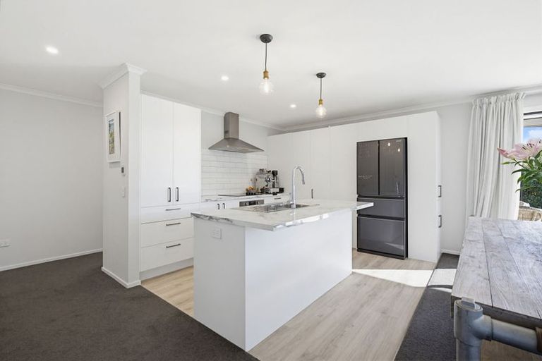 Photo of property in 32 Kahikatea Way, Appleby, Richmond, 7020