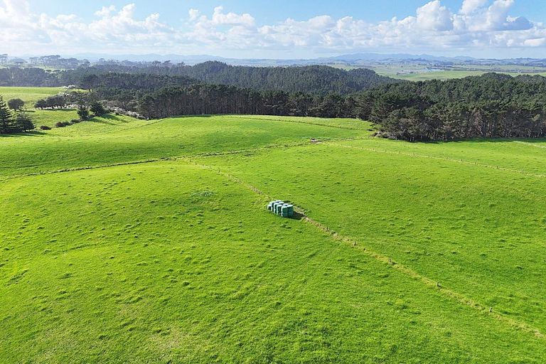 Photo of property in 1000 Redhill Road, Te Kopuru, Dargaville, 0371