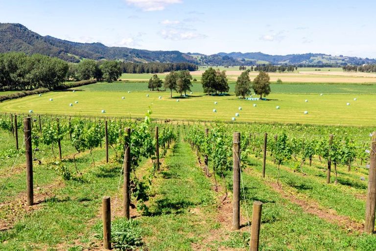 Photo of property in 73 Moon Ridge Close, Mangatawhiri, Pokeno, 2471