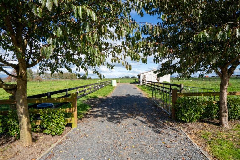 Photo of property in 243 Parallel Road, Ohaupo, Cambridge, 3495