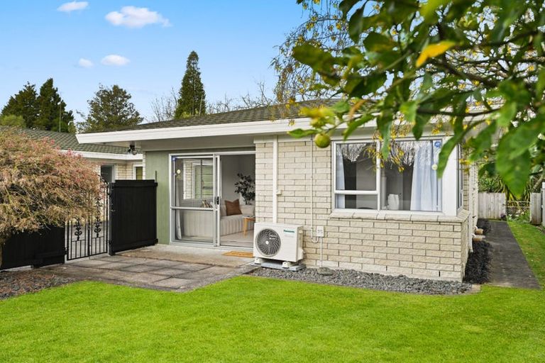 Photo of property in 49 Rimu Street, Maeroa, Hamilton, 3200
