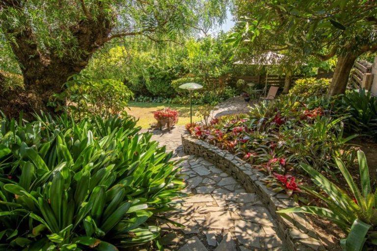 Photo of property in 25 Linklater Avenue, Bellevue, Tauranga, 3110
