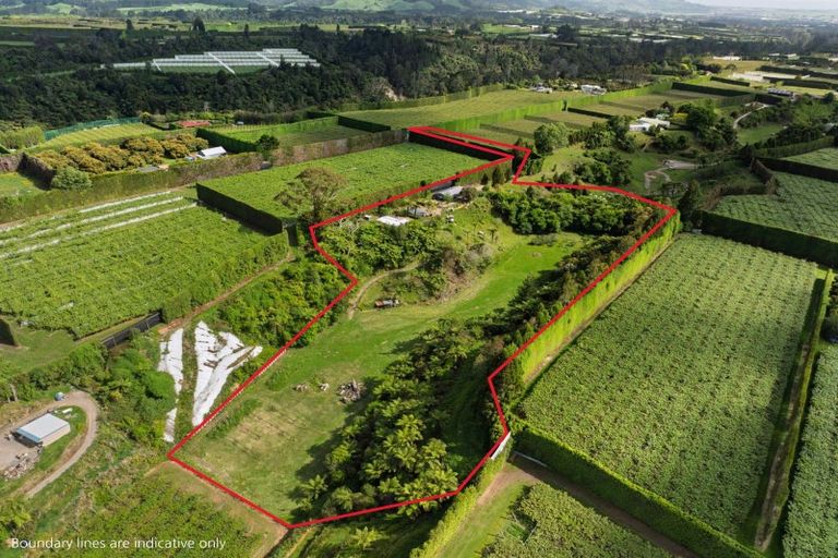 Photo of property in 575 No 2 Road, Te Puke, 3182