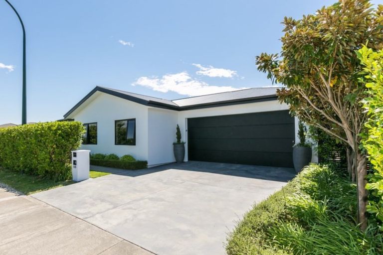 Photo of property in 115 Squire Drive, Awatoto, Napier, 4110