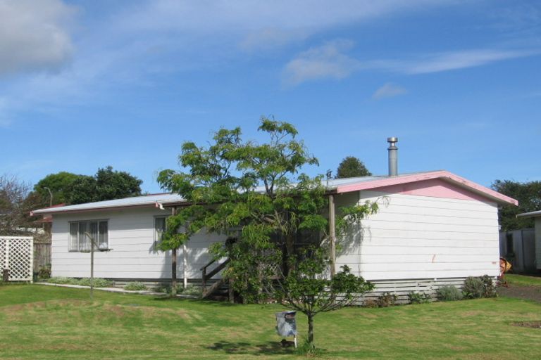 Photo of property in 36 Hindmarsh Street, Henderson, Auckland, 0612