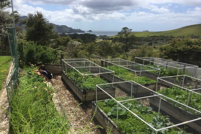 Photo of property in 17 Harbour Lights Terrace, Whitianga, 3592