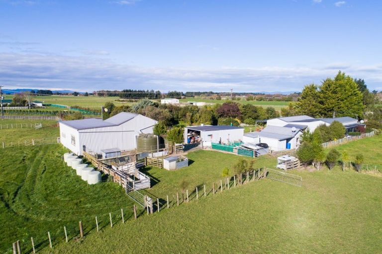 Photo of property in 62 Nga Tawa Road, Marton, 4787