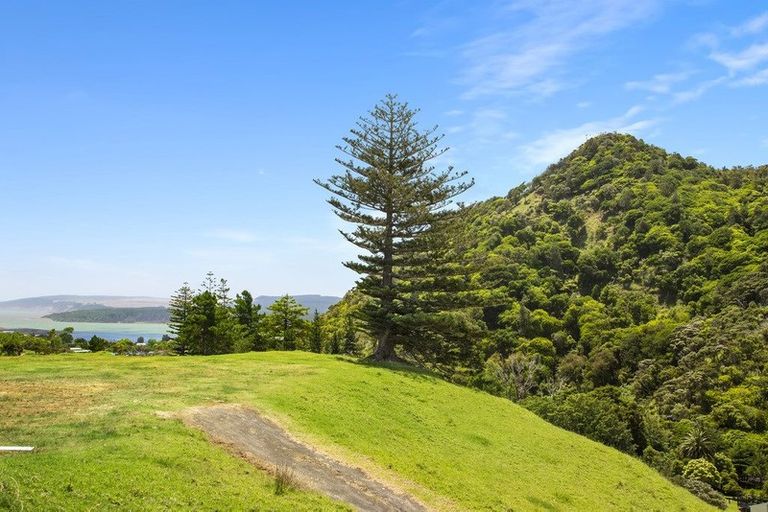 Photo of property in 80 Port Waikato-waikaretu Road, Port Waikato, 2695