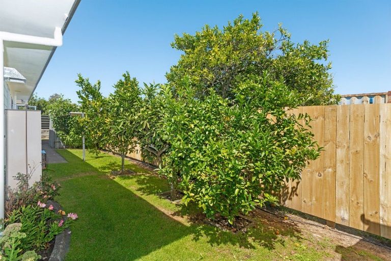 Photo of property in 170b Ormond Road, Mangapapa, Gisborne, 4010