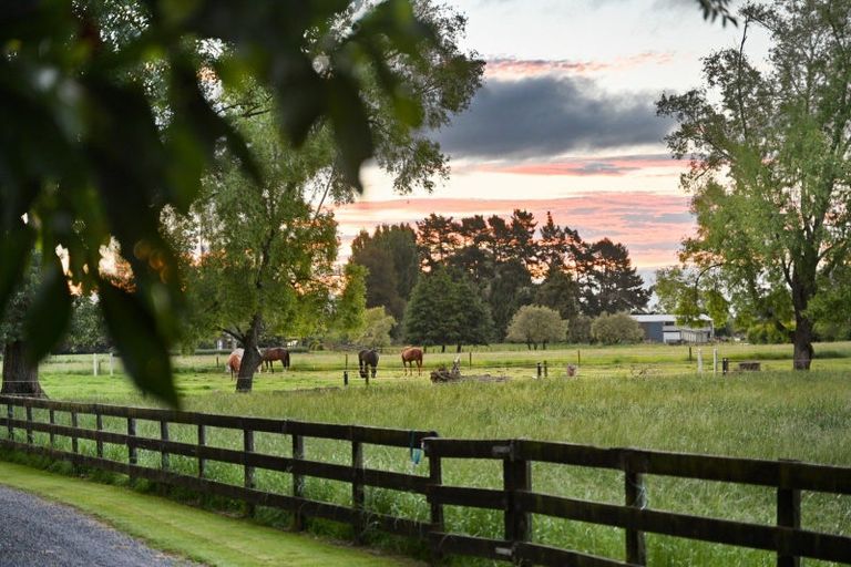 Photo of property in 509 Marychurch Road, Matangi, Hamilton, 3284