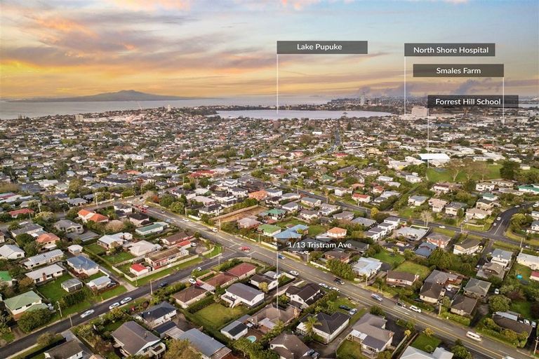 Photo of property in 1/13 Tristram Avenue, Forrest Hill, Auckland, 0620