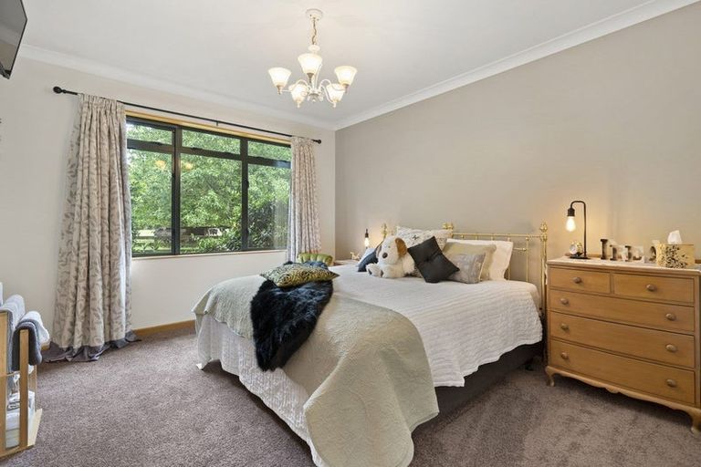 Photo of property in 39 Skeet Road, Cambridge, 3495