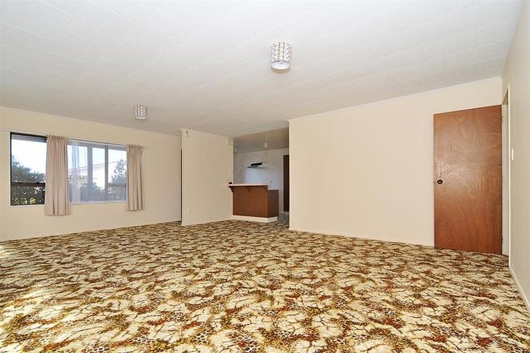 Photo of property in 258 Mitchell Street, Brooklyn, Wellington, 6021