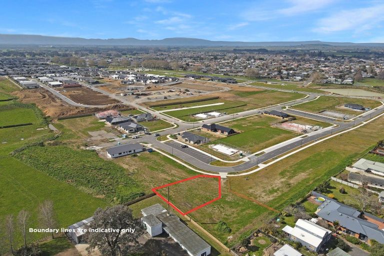 Photo of property in 41 Hoki Avenue, Morrinsville, 3300