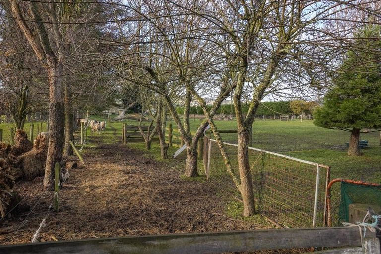 Photo of property in 146 Mina Road, Cheviot, 7382