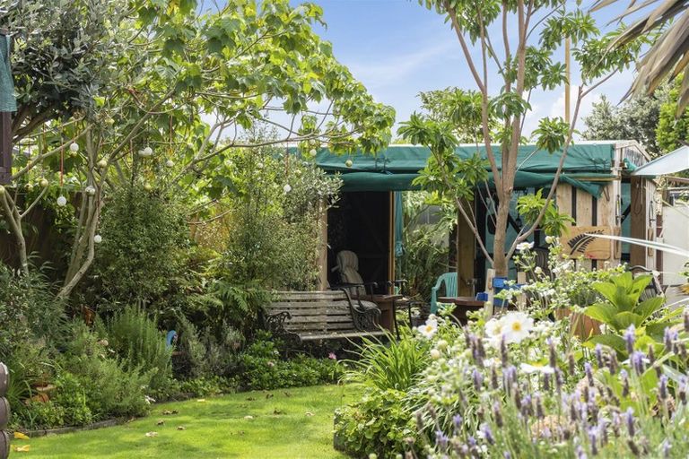 Photo of property in 31b Hibiscus Avenue, Mount Maunganui, 3116