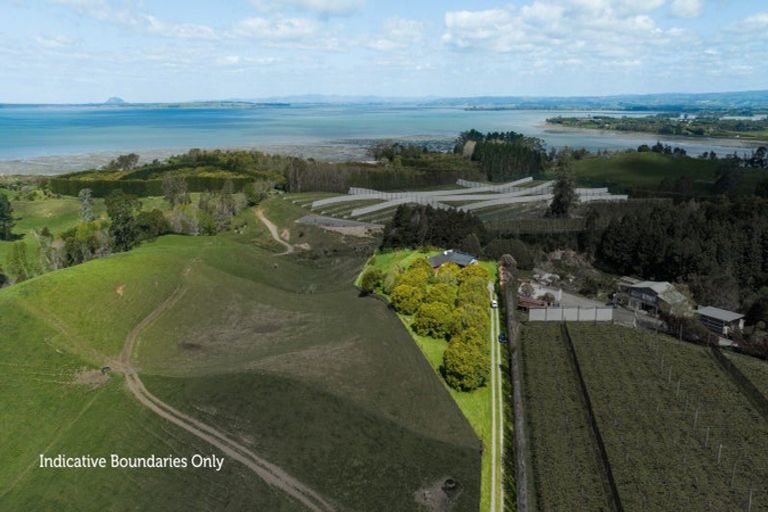 Photo of property in 216b Kauri Point Road, Tahawai, Katikati, 3170