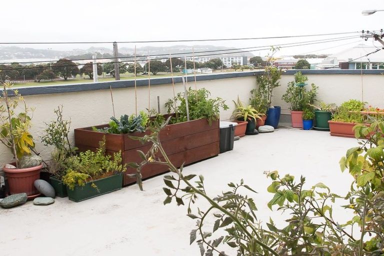 Photo of property in San Antonio Flats, 12f5 Kilbirnie Crescent, Kilbirnie, Wellington, 6022