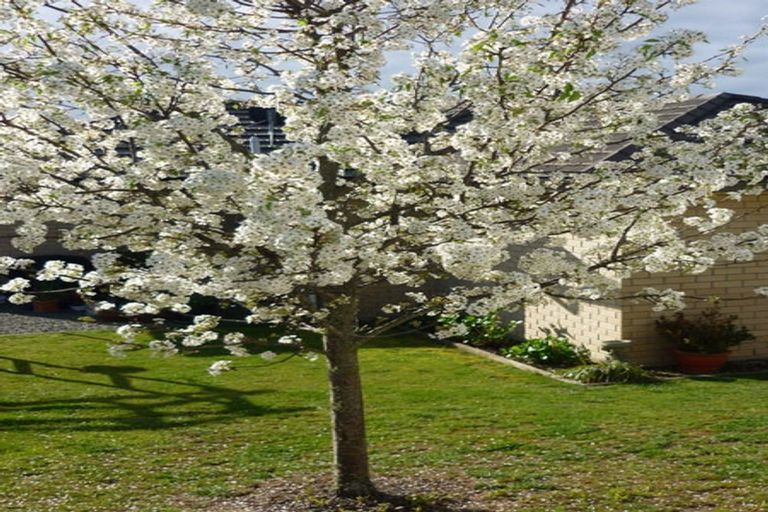 Photo of property in 7 Melfield Place, Richmond, 7020