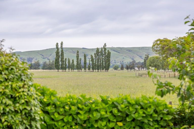 Photo of property in 31 Reading Street, Greytown, 5712