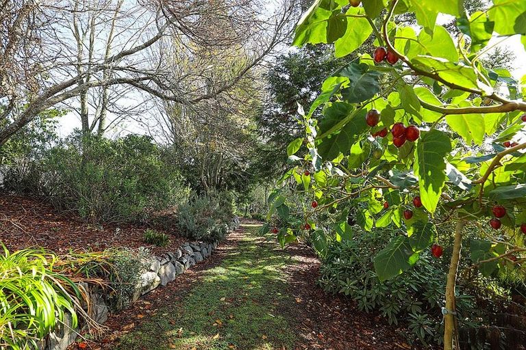 Photo of property in 81 Brunswick Drive, Tikitere, Rotorua, 3074