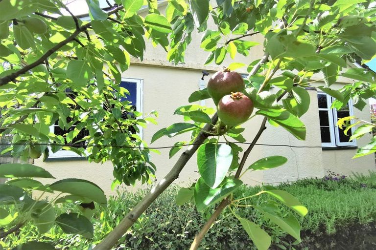 Photo of property in 236 High Street, Dannevirke, 4930