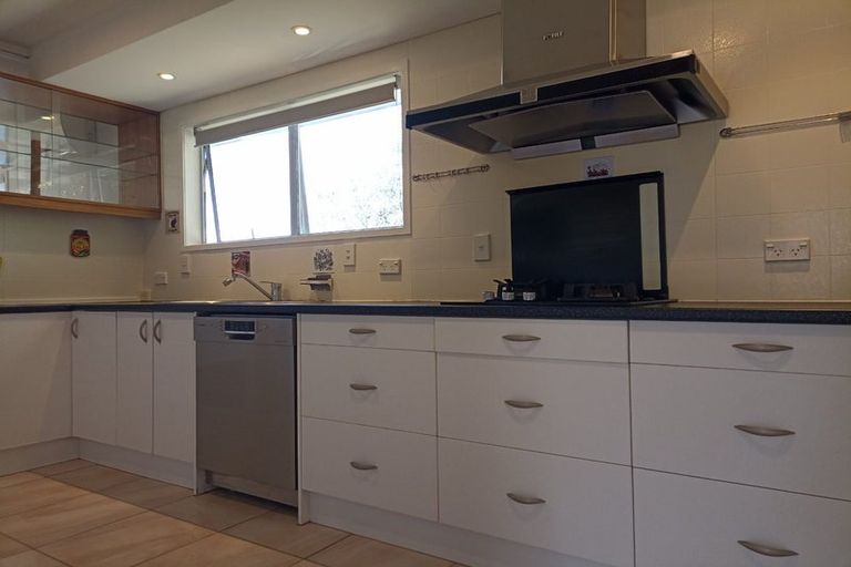 Photo of property in 29 Ayton Drive, Totara Vale, Auckland, 0629