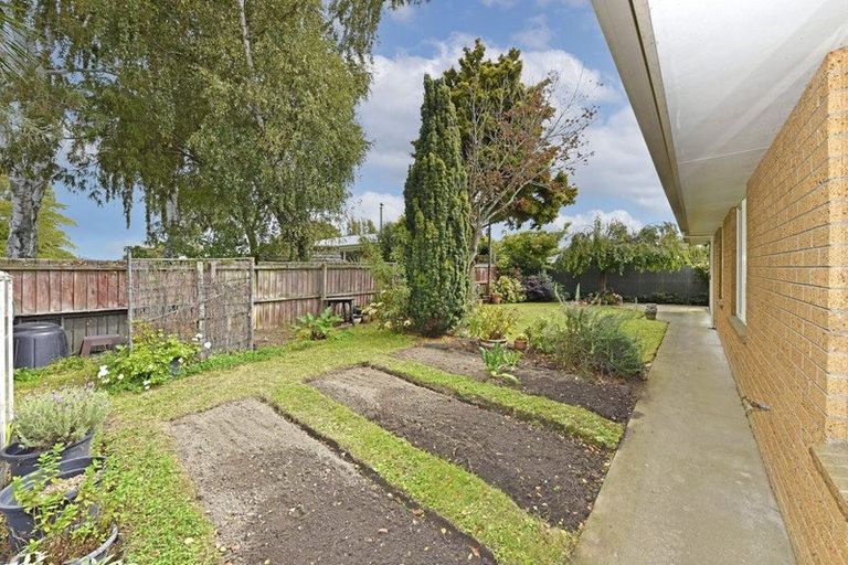 Photo of property in 87 Selwyn Street, Somerfield, Christchurch, 8024