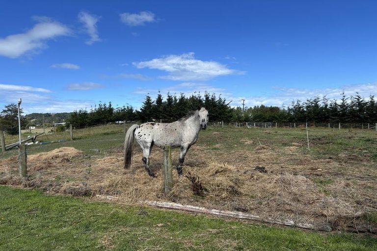Photo of property in 10 Perth Street, Waikouaiti, 9510