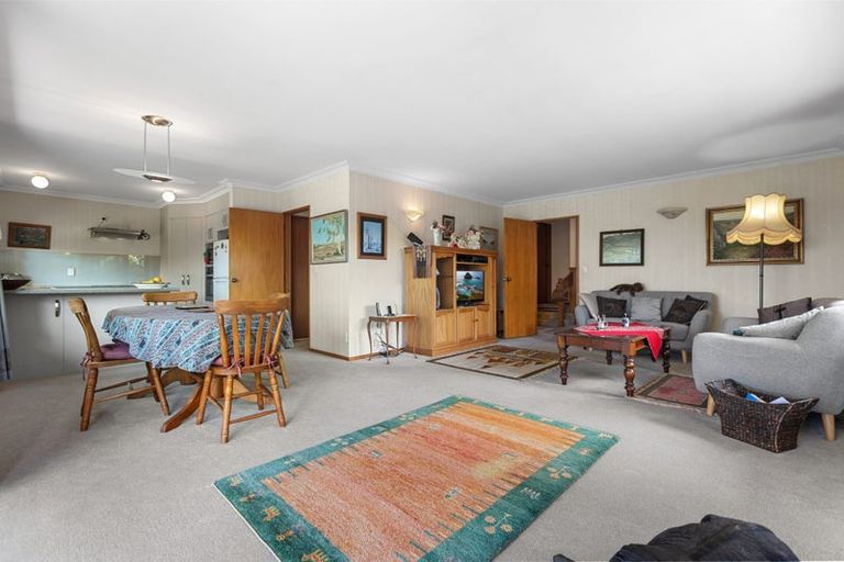 Photo of property in 3a Ninth Avenue, Tauranga, 3110