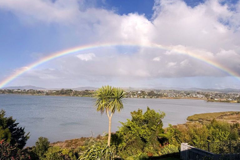 Photo of property in 49 Baycroft Avenue, Parkvale, Tauranga, 3112