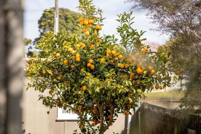 Photo of property in 22 Boyd Avenue, Aramoho, Whanganui, 4500